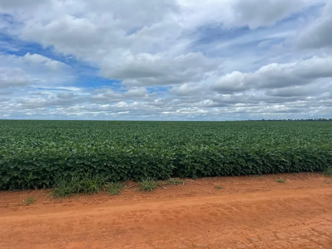 Fazenda arrendamento 4.360hec sorriso / Sinop com silos 340 mil sacas