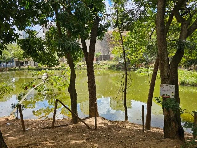 Foto - Teófilo Otoni - Marajoara