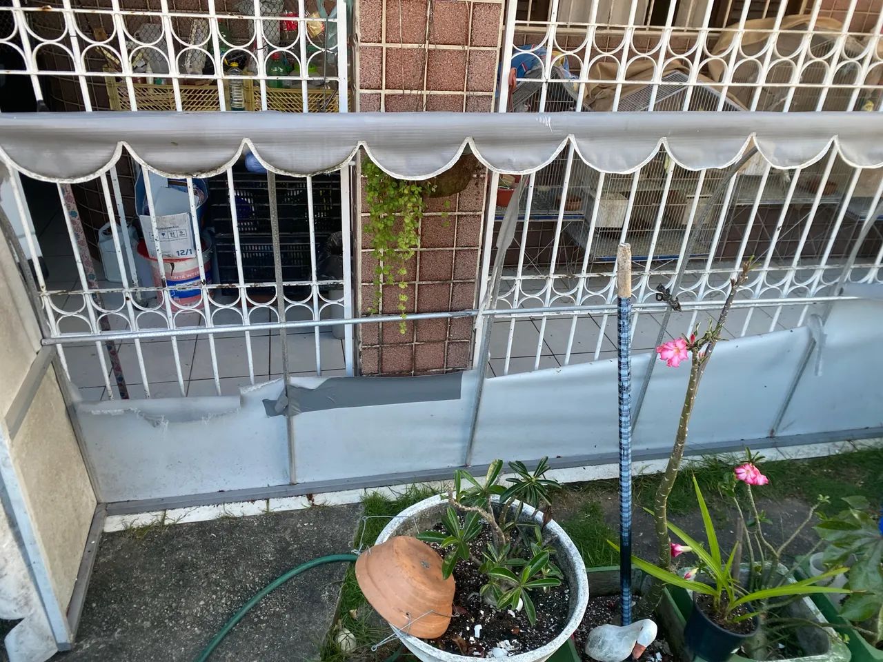 Pergola structure64385643187331122