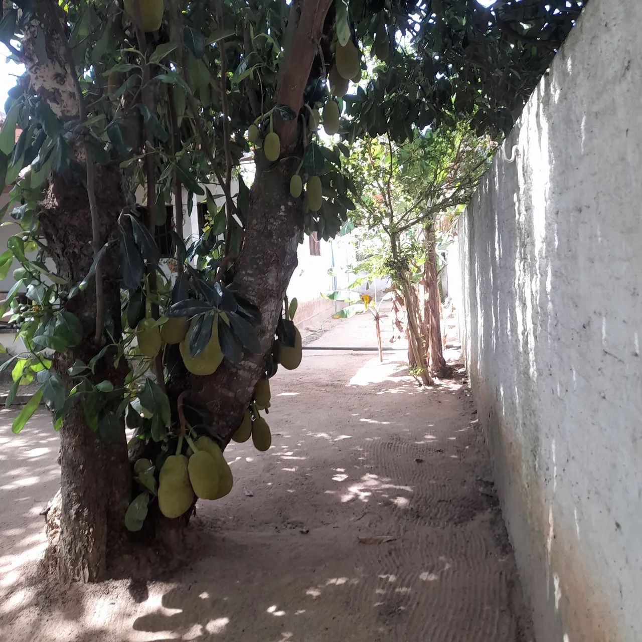 Sítio com piscina em área tranquila - Foto 4