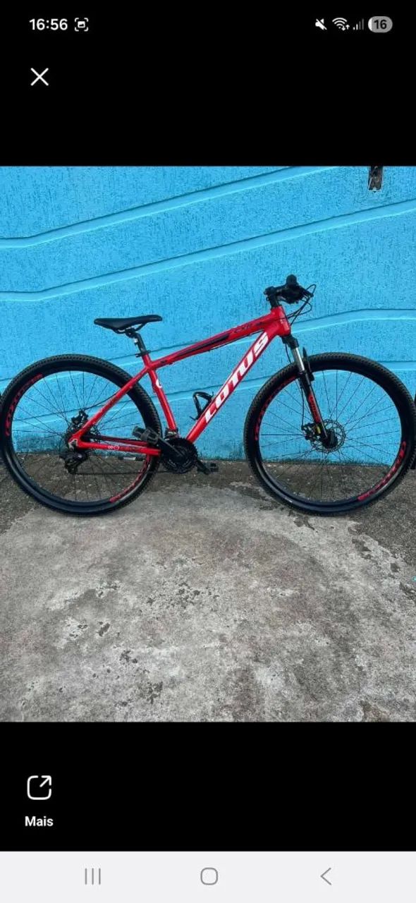 Bicicleta 