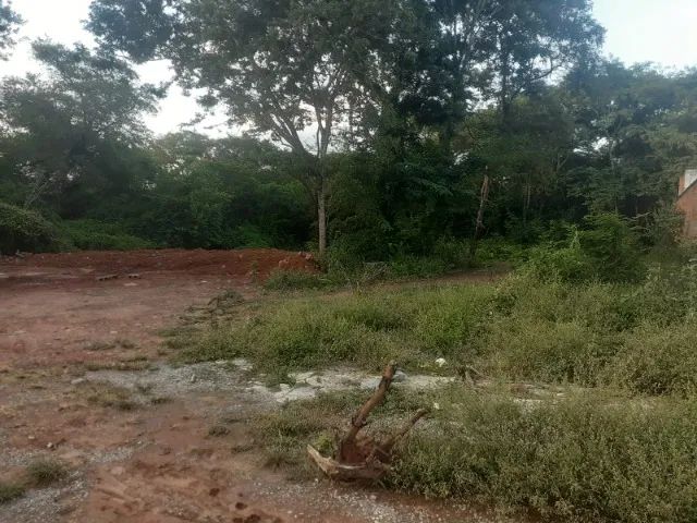 lote próximo ao Gran Royalle com 220 m² - Foto 3