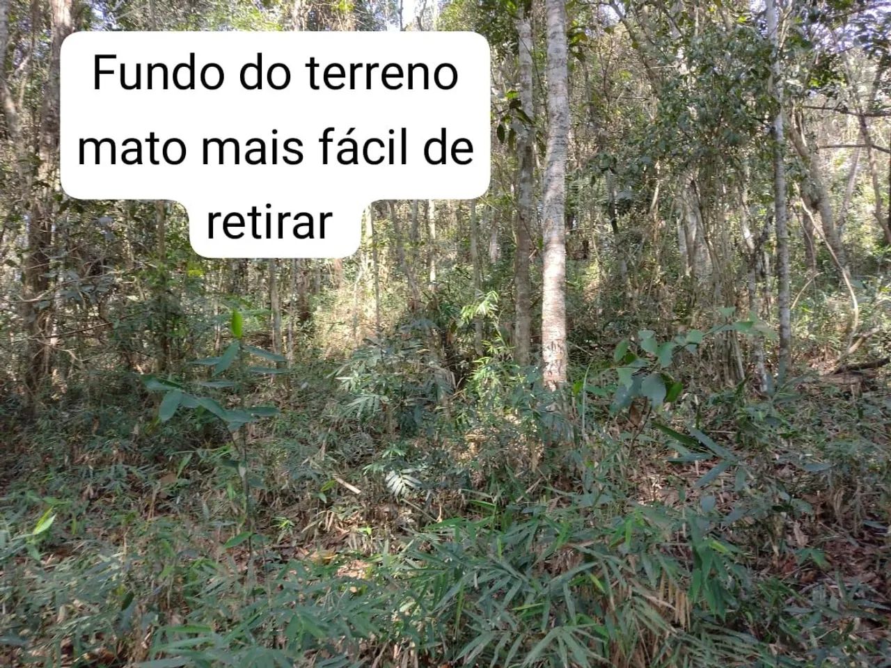 Vende-se terenos no condomínio 7 praias  - Foto 10