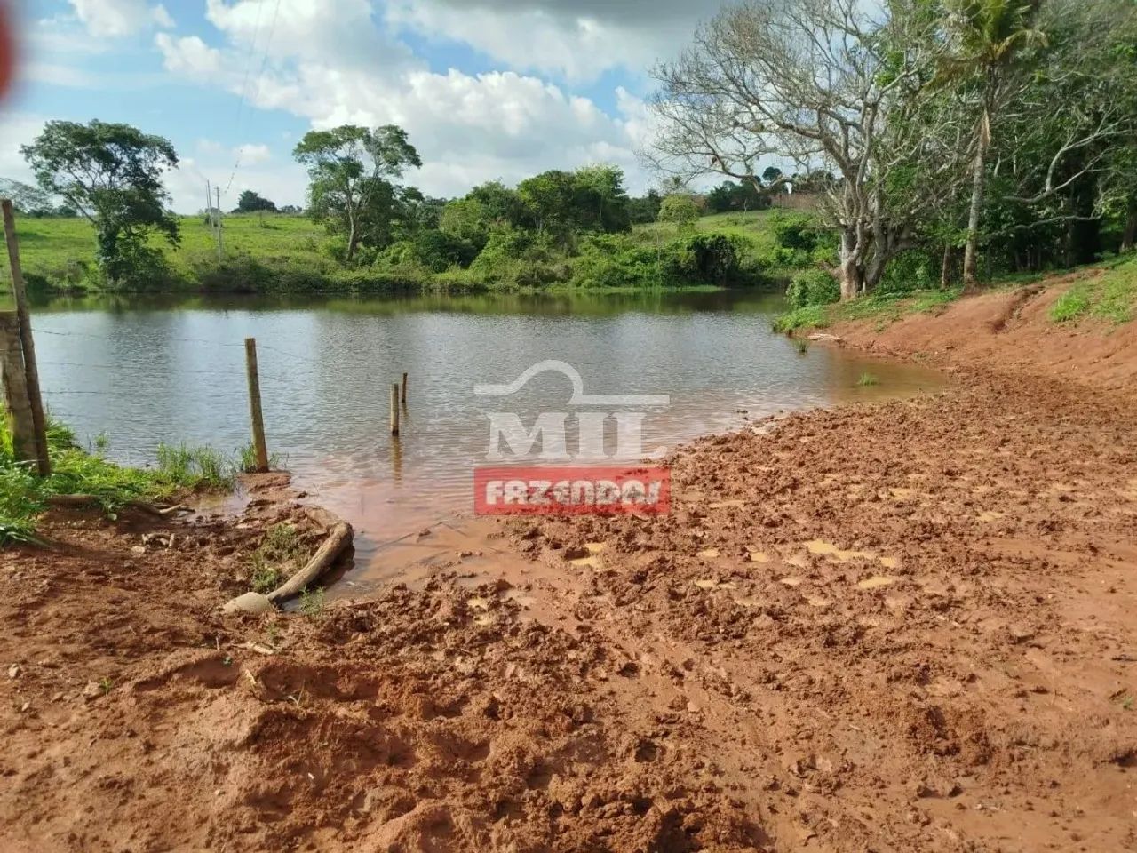Chacara 3,5 alqueires (16,96 HAC) Araçu - GO - Foto 5