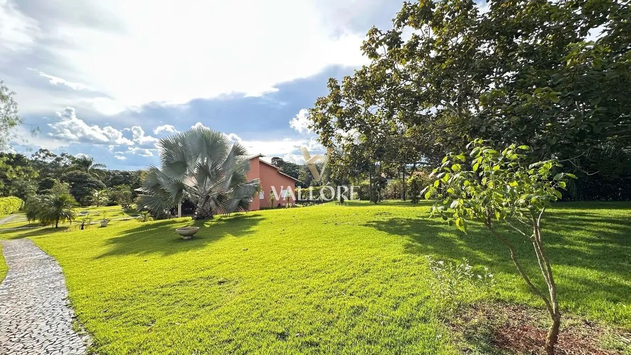 Ribeirão da Cachoeira - Chácara 7.200m² com ribeirão, pomar raro, 2 casas e aceita pets  N - Foto 11