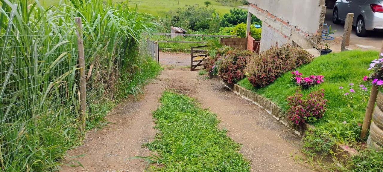 Granja - Foto 4