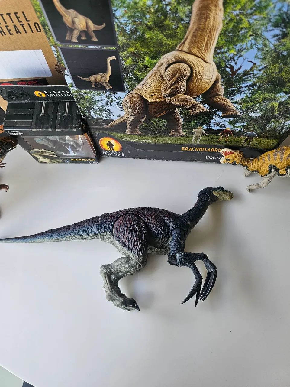 Hammond collection therezinho  - Foto 4