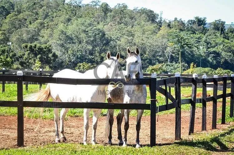 Terreno à venda, Residencial Haras Patente, Jaguariúna, SP - Foto 12