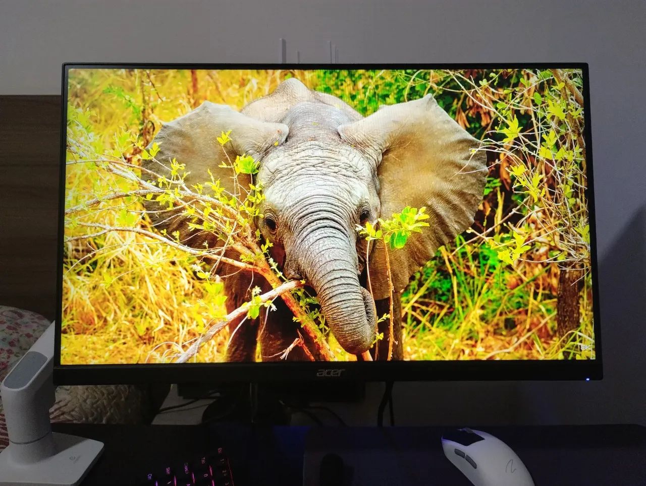 Monitor Acer 200hz 24 polegadas
