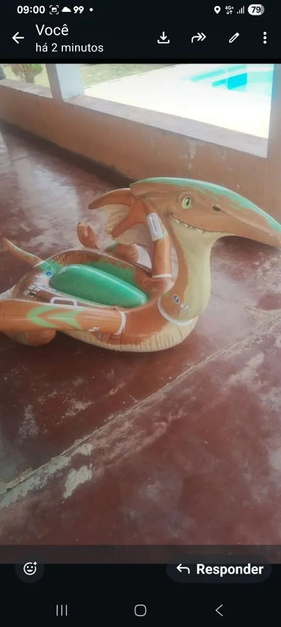 Boia dinossauros  - Foto 2