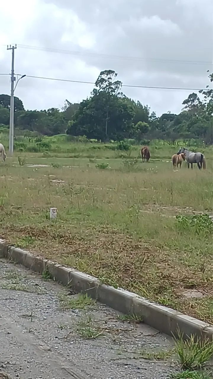 Foto - Iguaba Grande - 