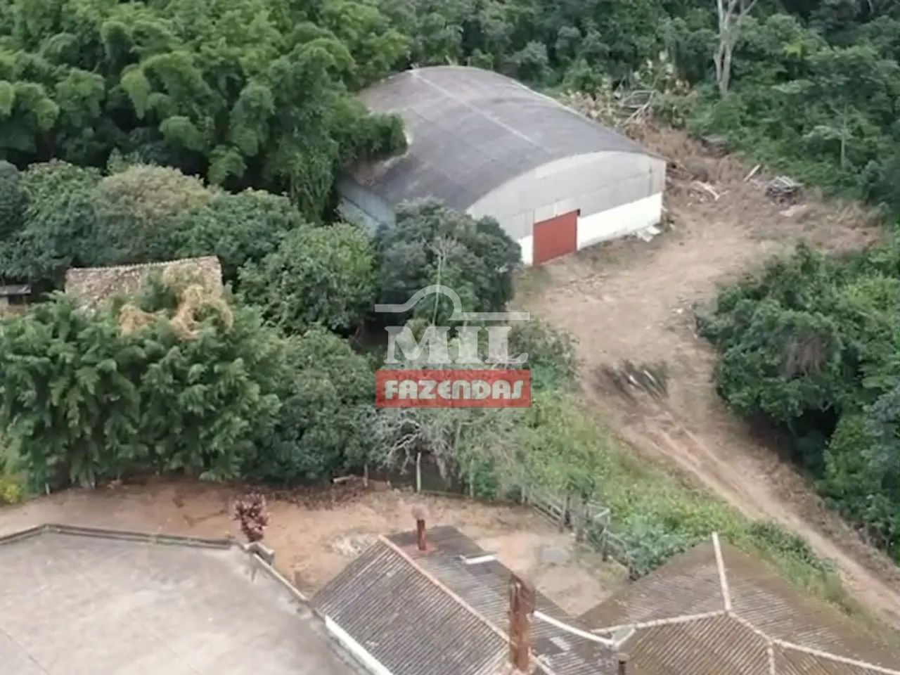 Fazenda Produtora de Café em SP (164 Hectares) - Foto 4