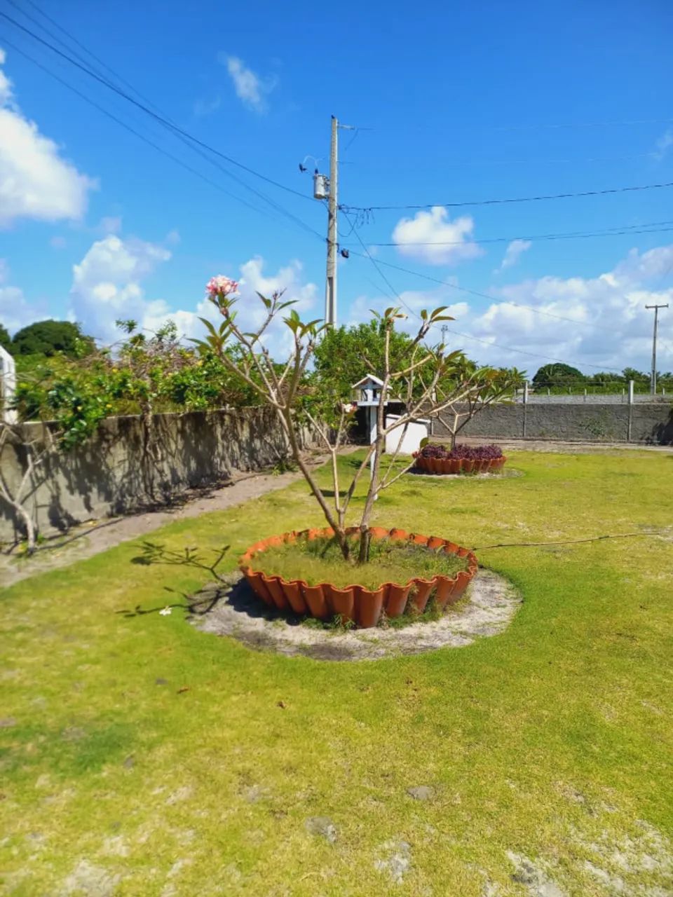 chácara com 1600m² - Foto 3