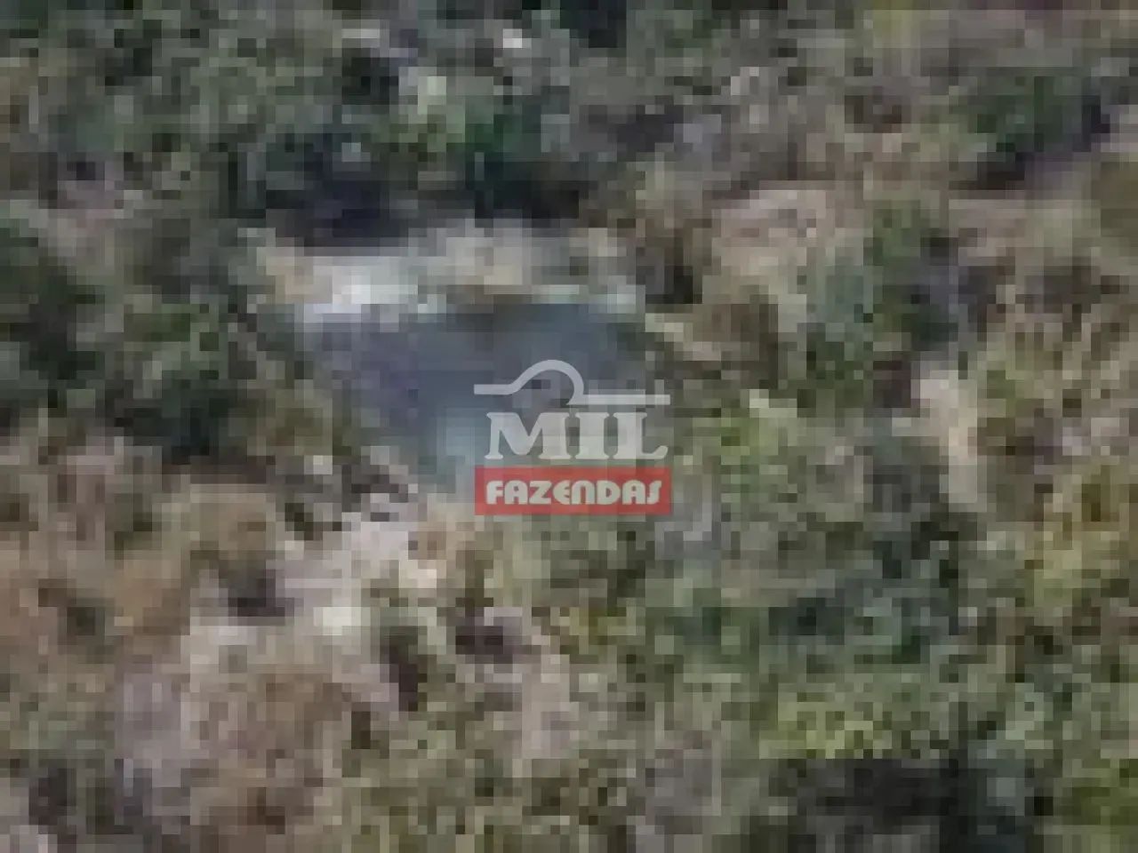 Fazenda 45 alqueires (217,8 hectares) Araguapaz - Go - Foto 2