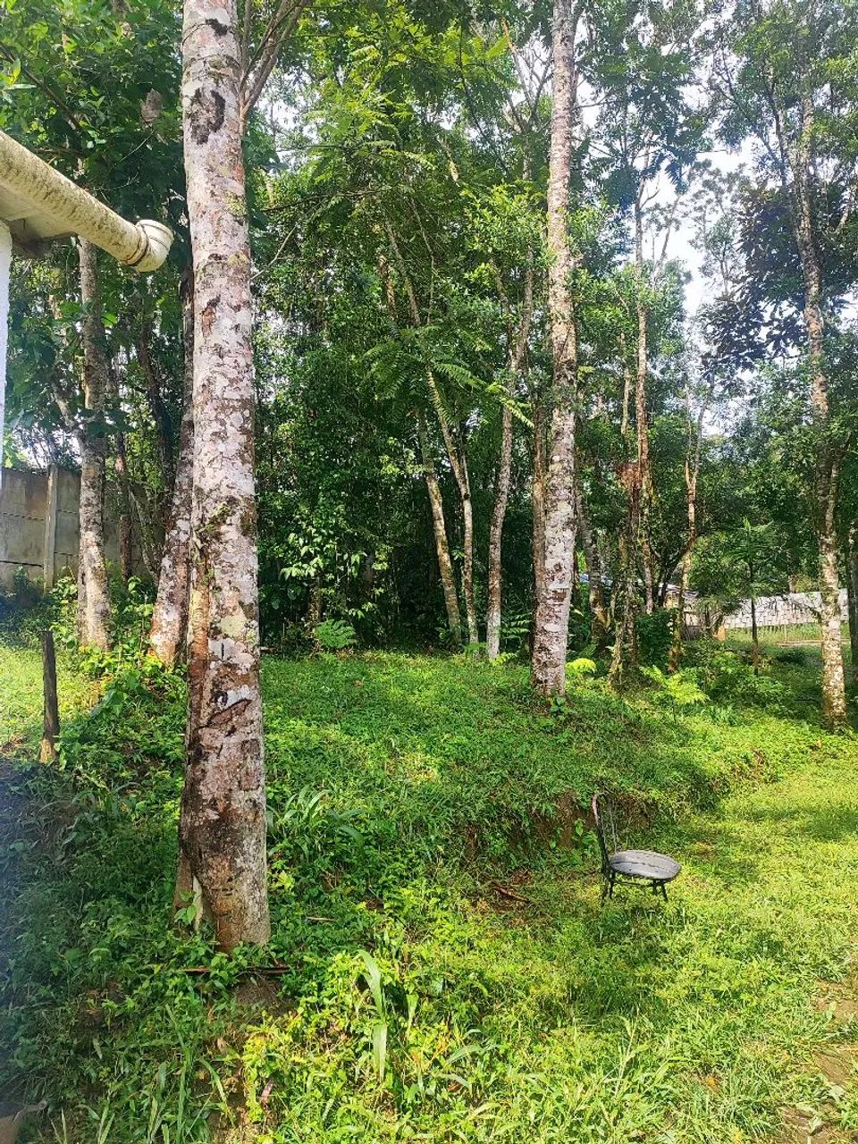 Sítio em São Lourenço da Serra com casa construída  - Foto 3