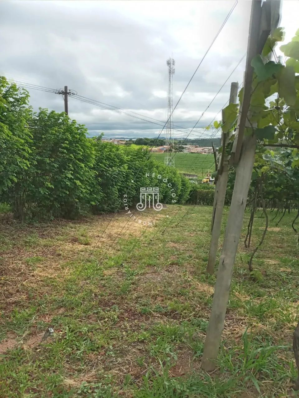 ÁREA COMERCIAL À VENDA - BAIRRO DO POSTE - JUNDIAI/SP - Foto 2