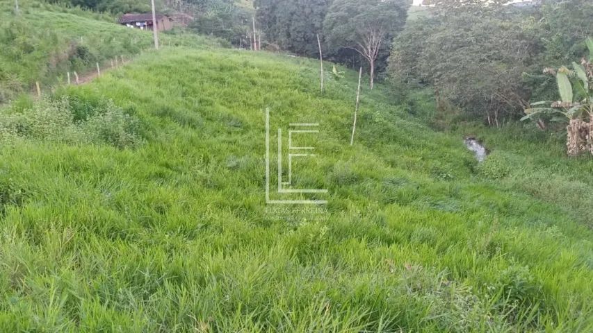 Ótimo sítio com 6 hectares e água em abundância em União dos Palmares - AL - Foto 4