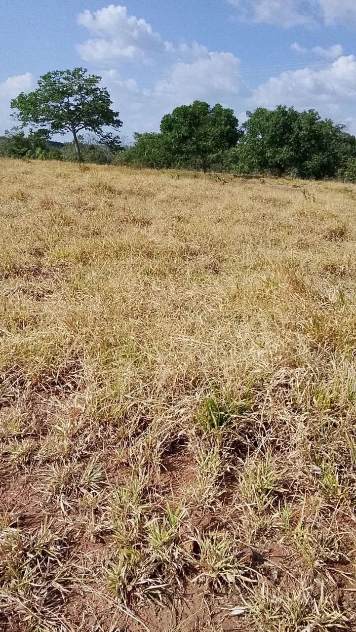 Venda Chácaras - Foto 2