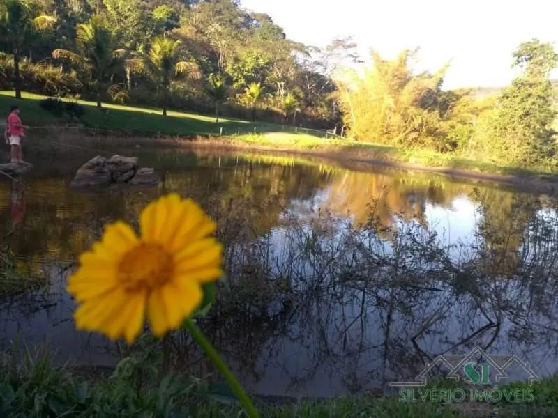 Sítio- Tres Rios, Bemposta - Foto 4