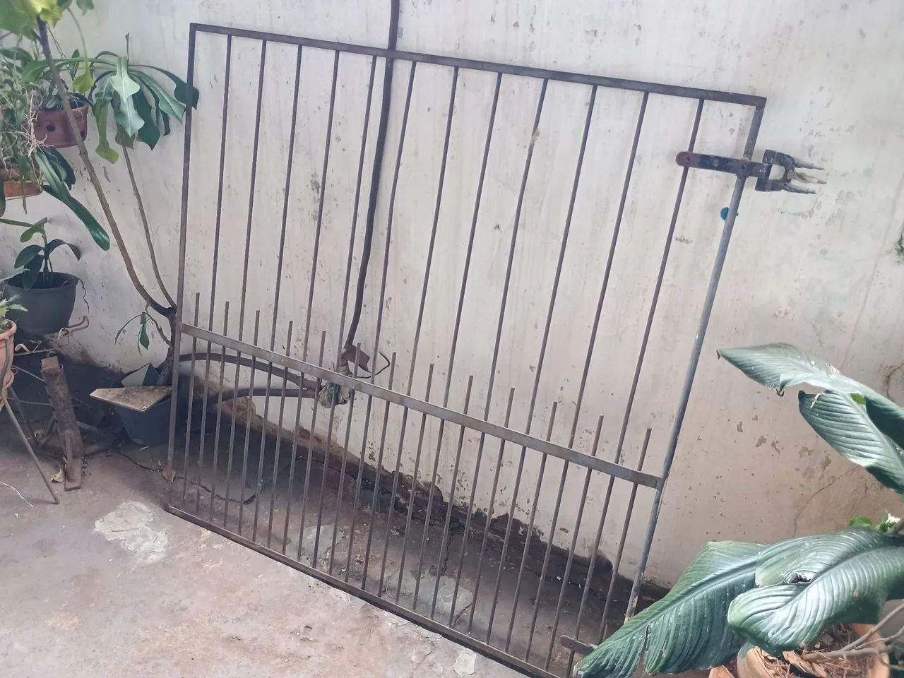 Iron gate for outdoor area