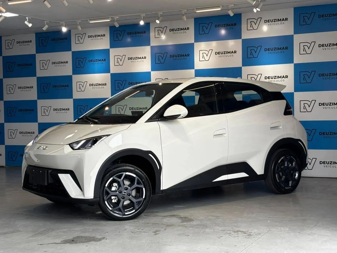 BYD Dolphin Mini (Elétrico) 2027 - Foto 4