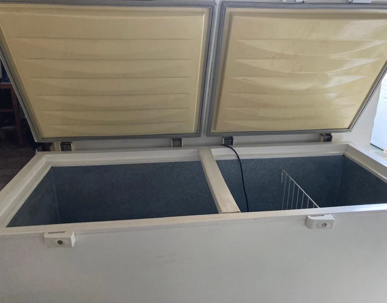 Freezer Electrolux H500