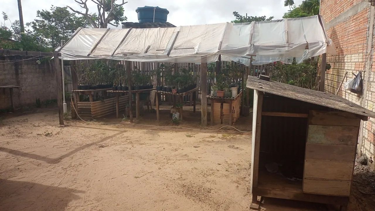 Apenas venda - Foto 3