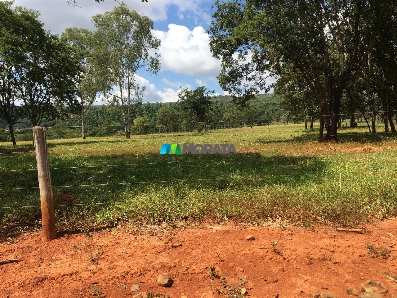 FAZENDA À VENDA - 710 HECTARES - CURVELO (MG) - Foto 5