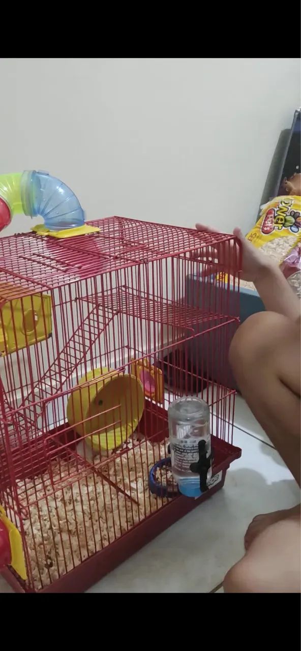 Gaiola de ramster 3 andares