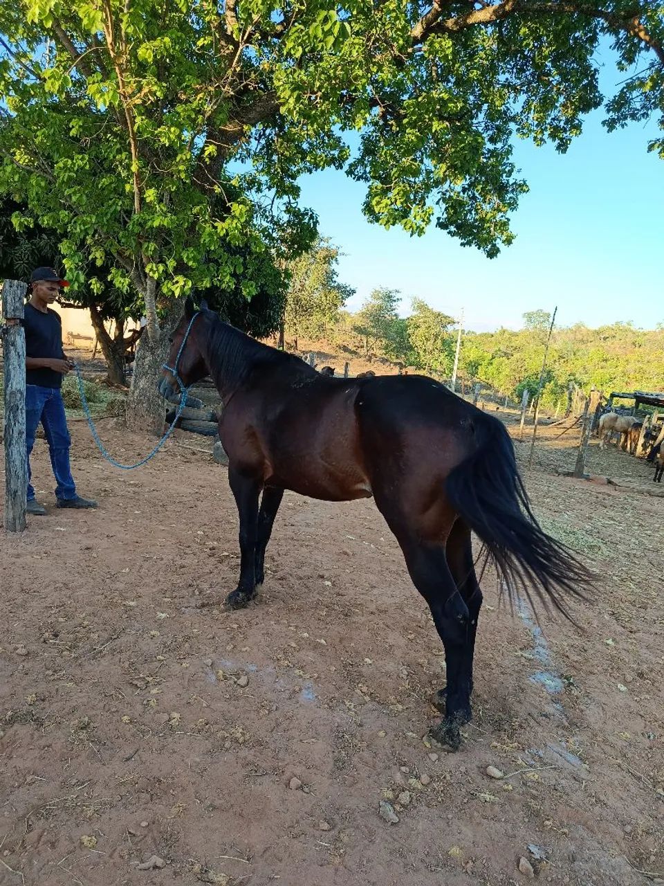 vendo ou troco  - Foto 2