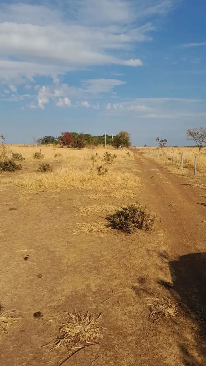 Chácara 5 hectares pego casa em formosa e caminhão  - Foto 5