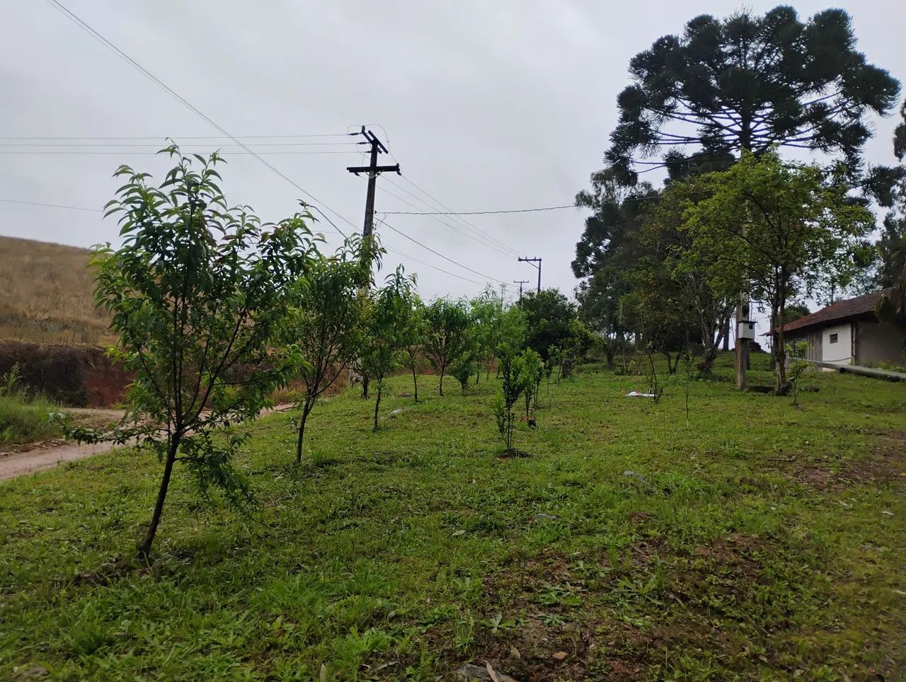 Chácara em contenda .próximo Araucaria 