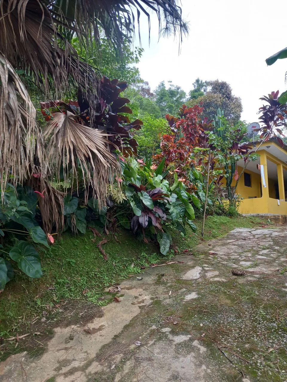 SÍTIO VENDE-SE MONGAGUA  - Foto 5