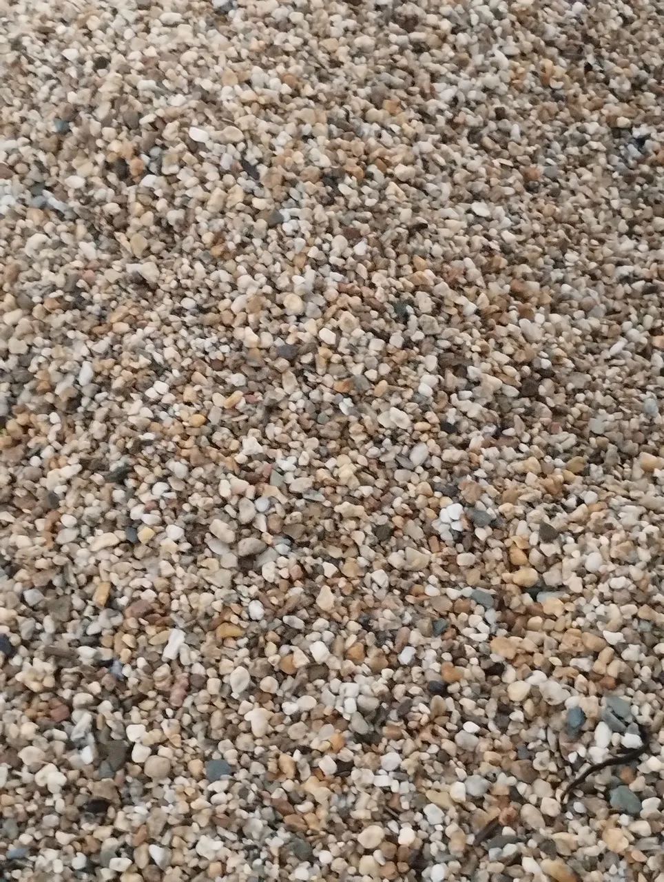 Seixo65093785284993121