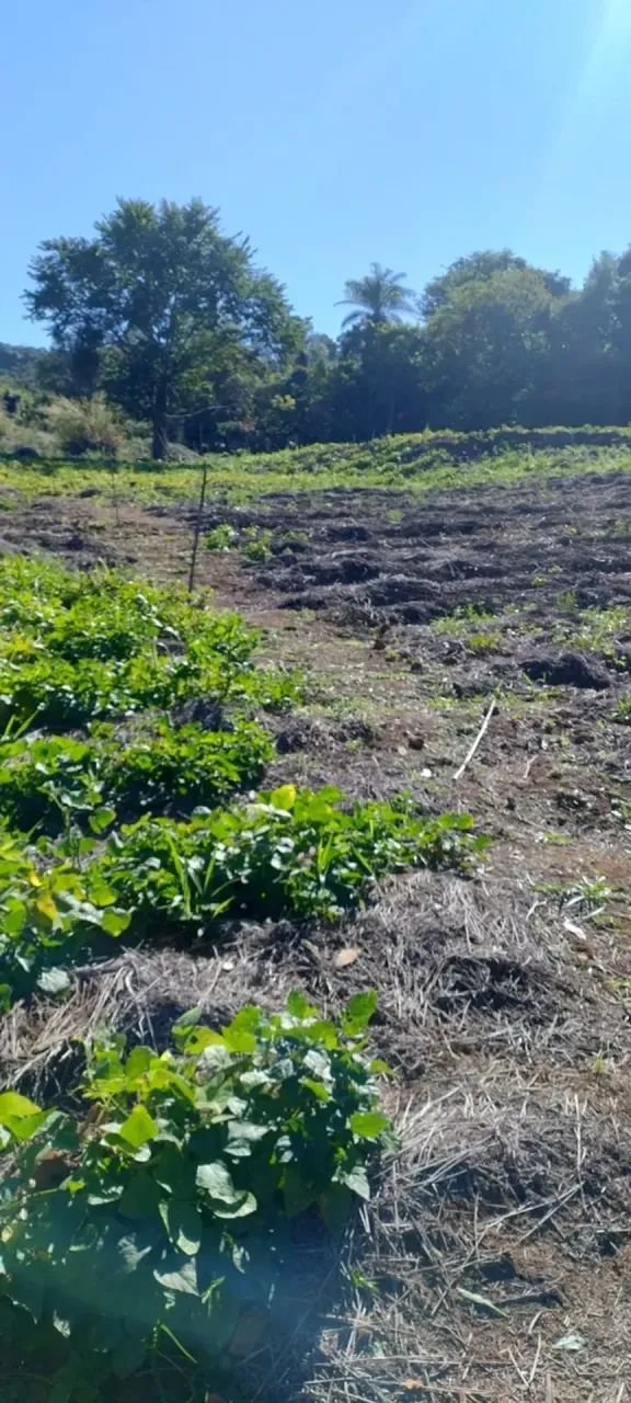 Sitio a venda em Jacutinga -MG - Foto 5