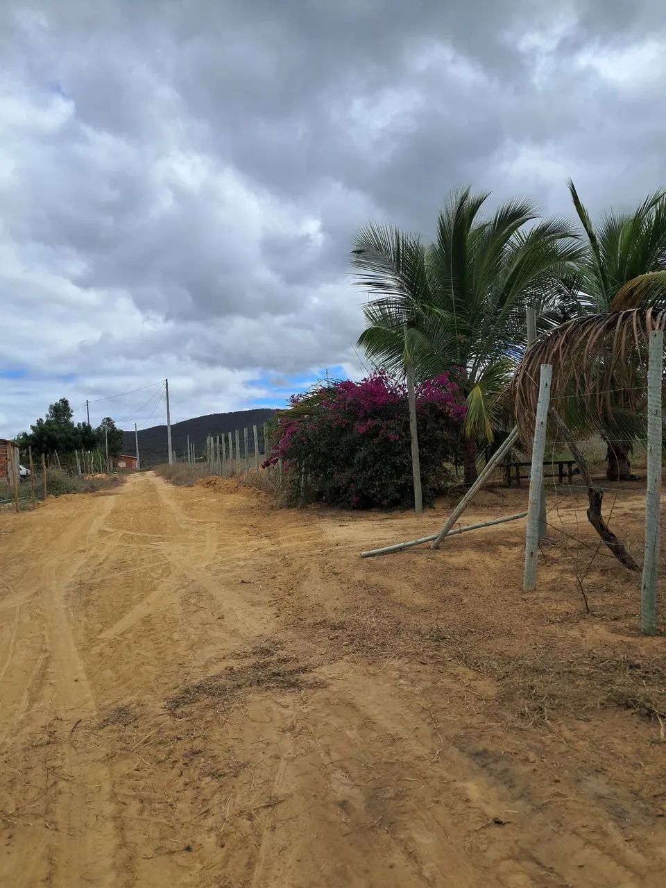 Sitio a venda 