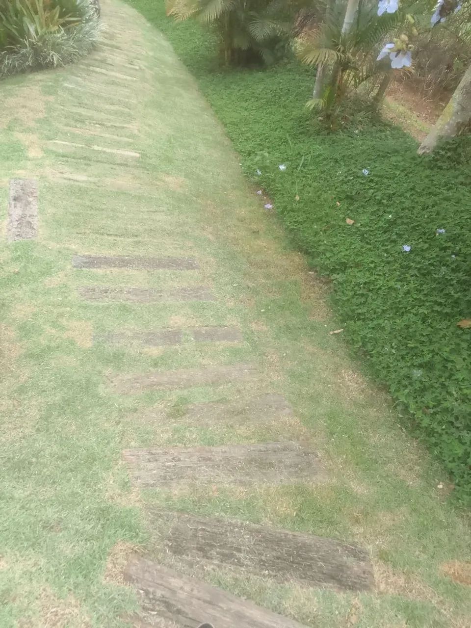 Mim ofereco como caseiro  - Foto 2