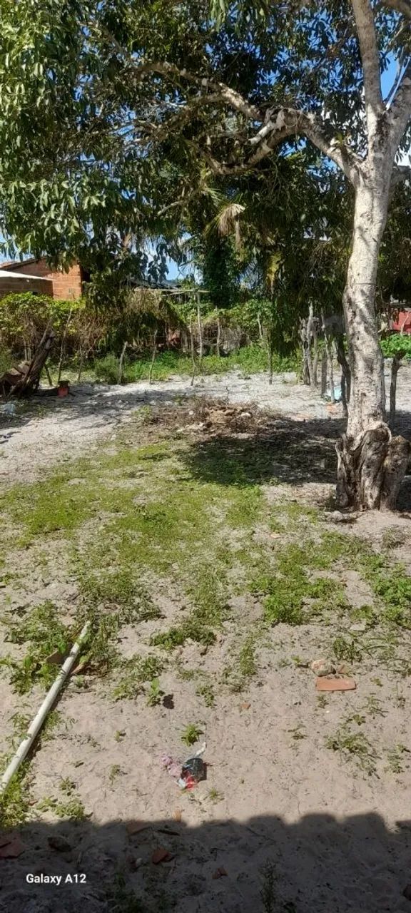 Vende  - Foto 2