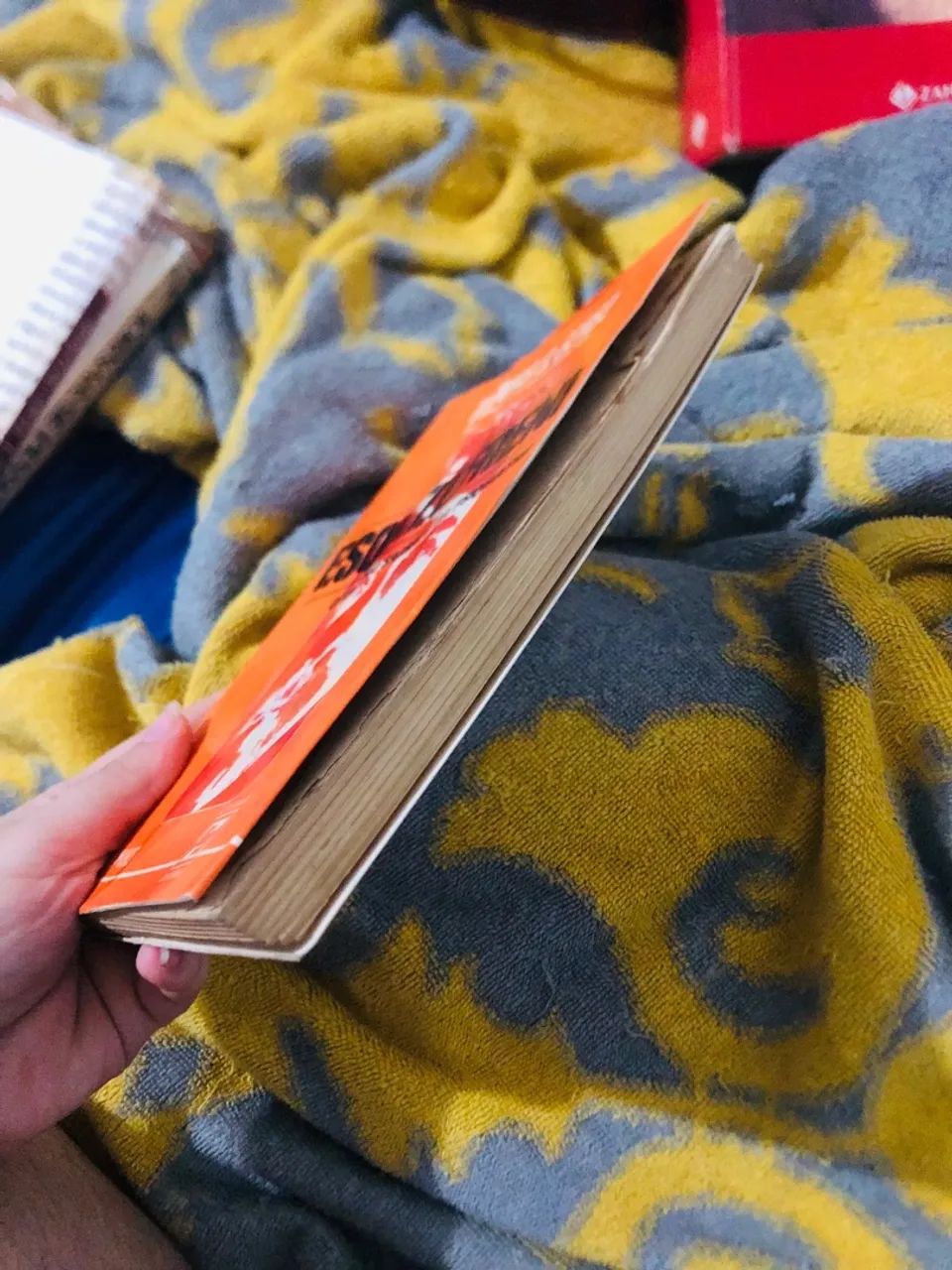 Livro - Foto 2