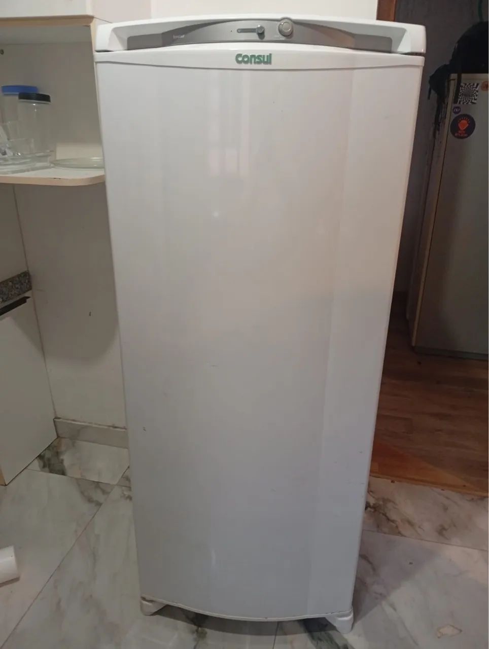 Freezer cônsul 231L
