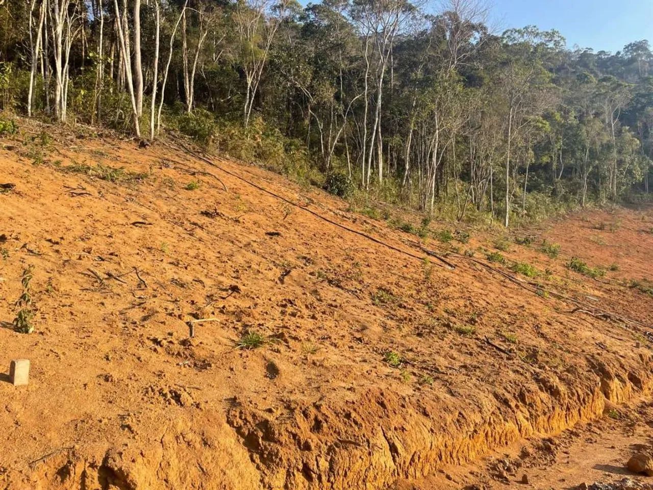 Terreno para Venda em Teresópolis, Green Valleiy - Foto 6