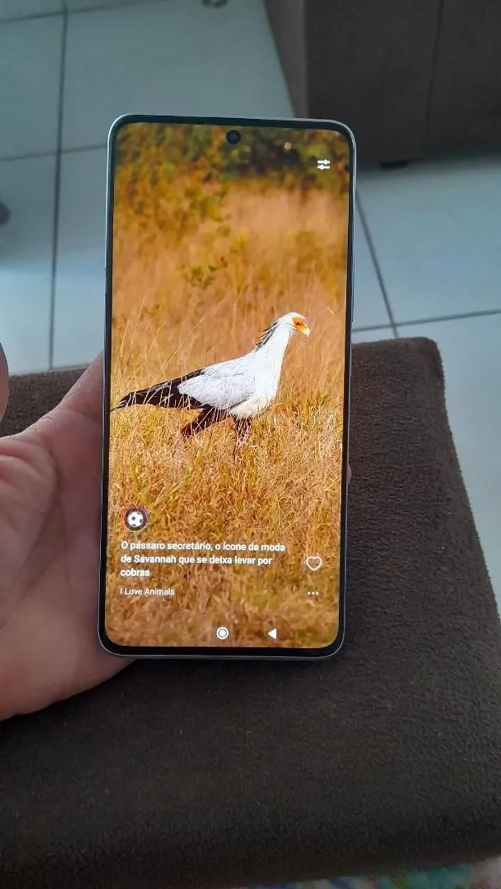 Redmi 13 pro plus