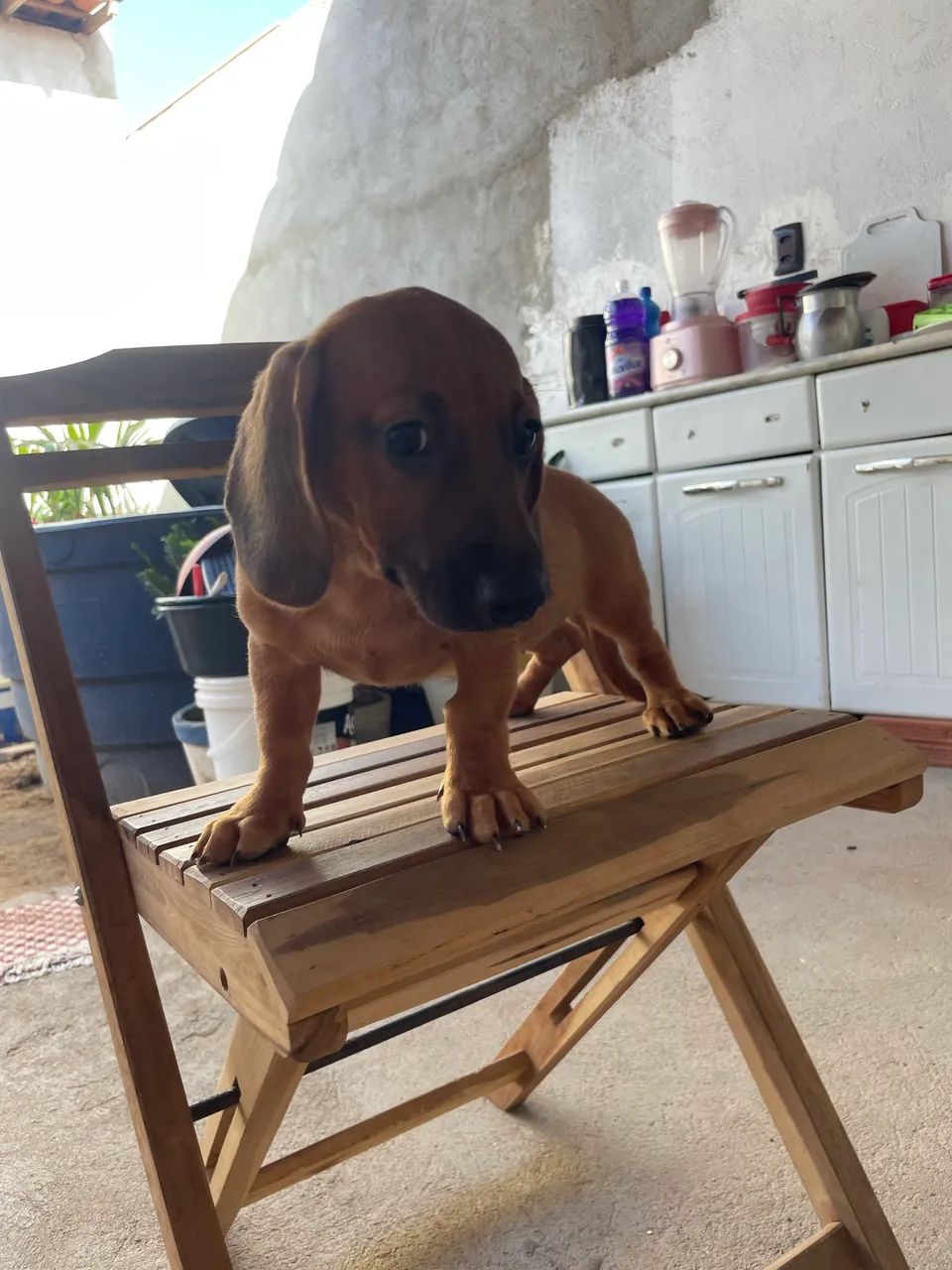 Disponível  - Foto 3