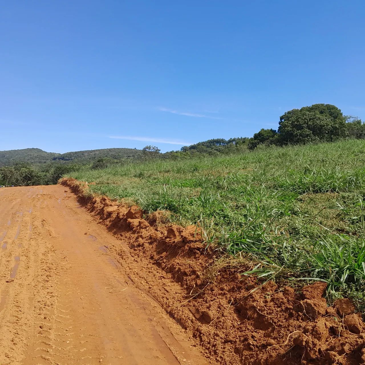 Chacaras rurais em mateus leme  - Foto 5