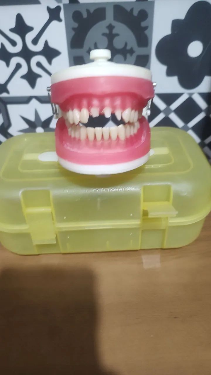 Manequim dentistica/endo Pronew com embalagem  - Foto 2