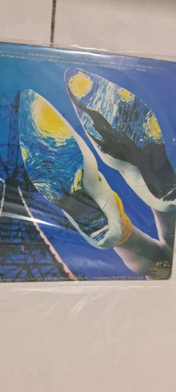 Lp-Vinil Cyndi Lauper She's Só Unsual - Foto 4