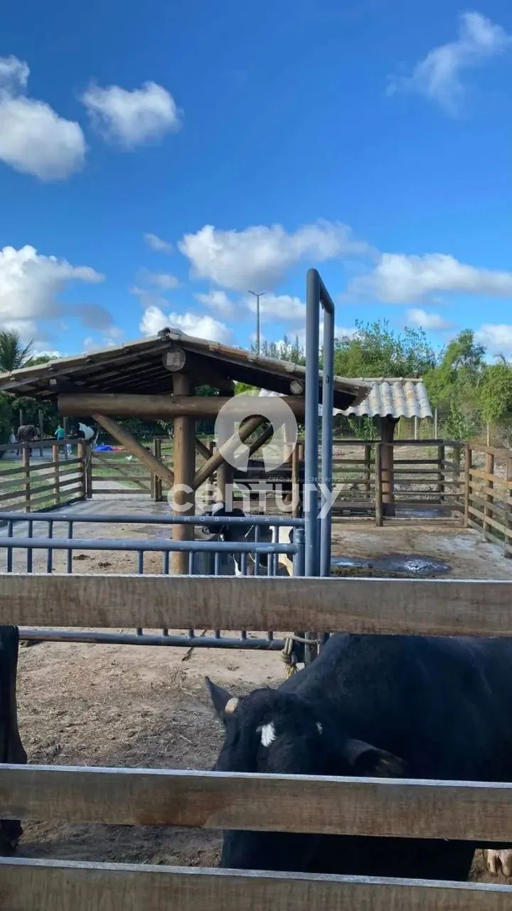 Lote no condominio Fazenda Real 2