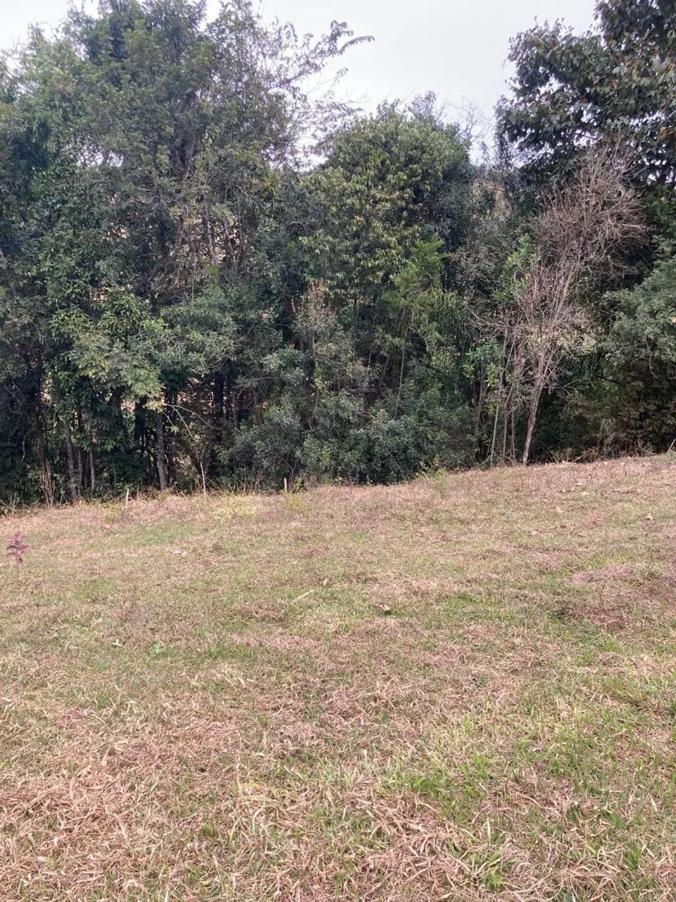 Vendo excelente terreno em Cunha sp  - Foto 4