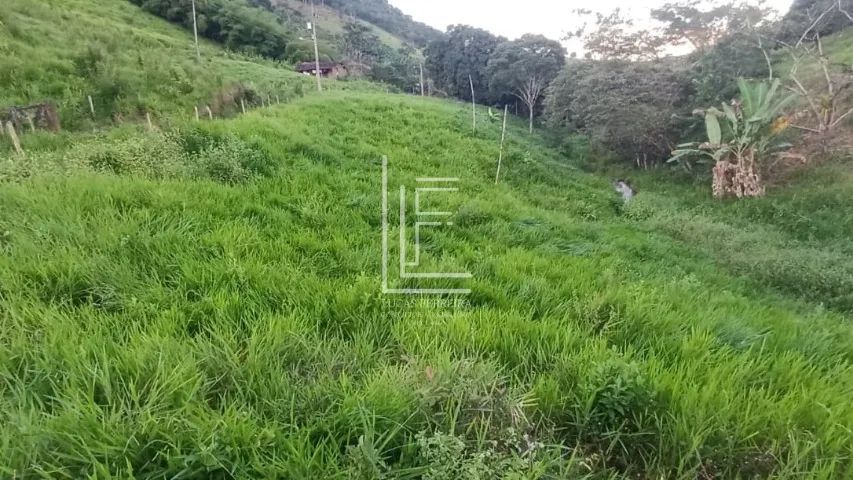 Ótimo sítio com 6 hectares e água em abundância em União dos Palmares - AL - Foto 5