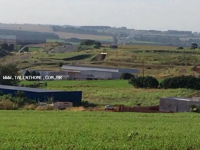 Terreno para Venda em Marialva, Centro - Foto 4